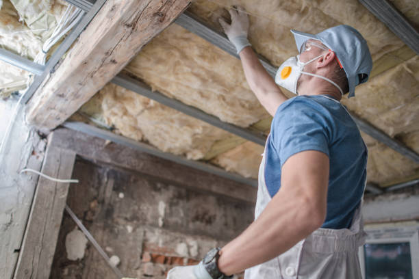 Best Insulation Maintenance and Repair in Xenia, OH