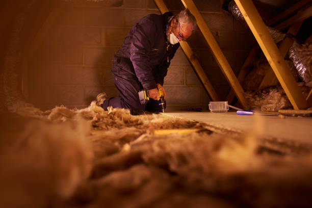 Best Geographic-Specific Insulation Services in Xenia, OH